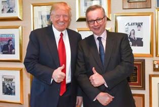 Image result for michael gove donald trump interview